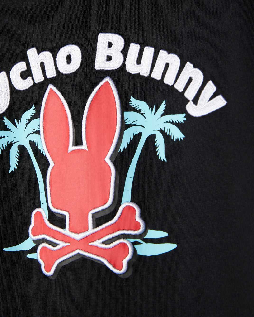 Polos Psycho Bunny Boston Graphic Tee Noir Enfant | YUM-96226213